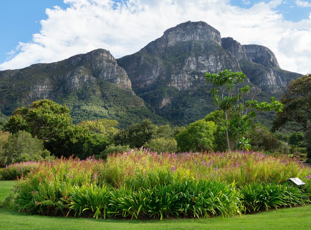 Lush botanical gardens with mountainous background